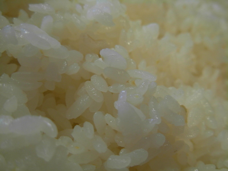 ������֮����ţ������������