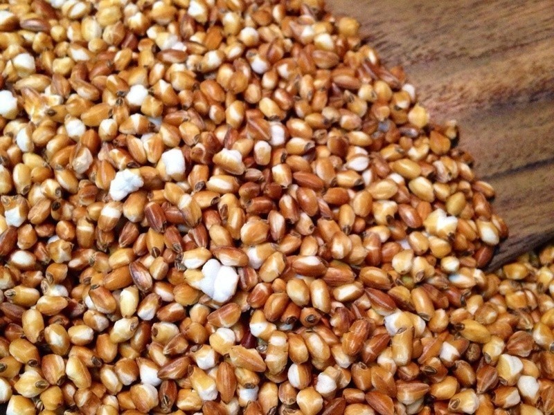 ζ������������