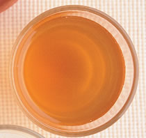 ÷�Ӵ�֭������