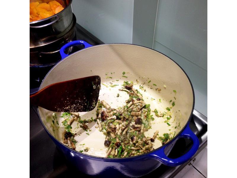 ���������Ϲ�������Ȫ���项������