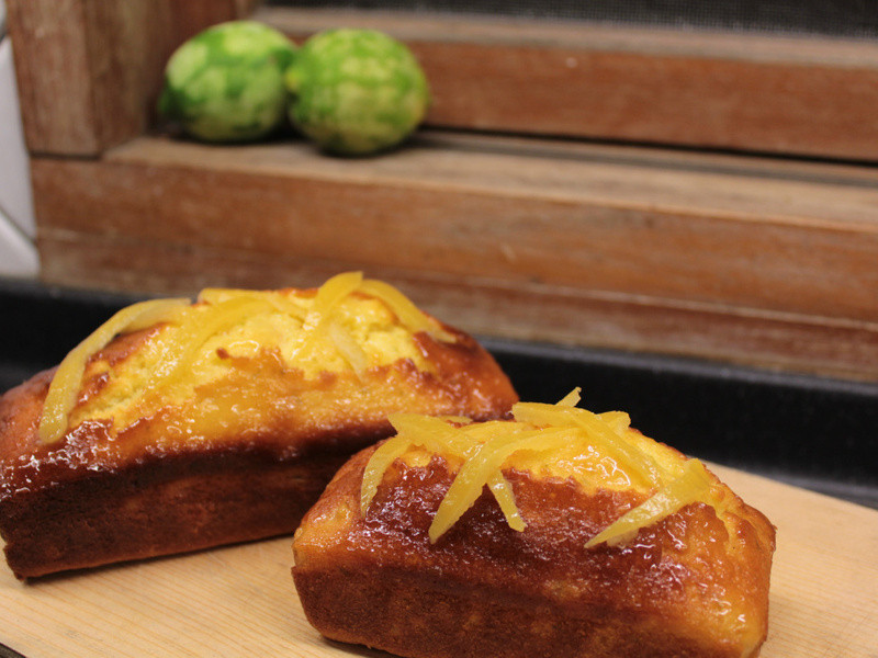 ���ҵĵ�һ������ʳ�����������ʰ����������