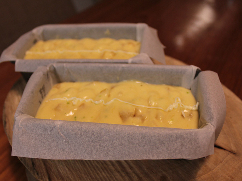 ���ҵĵ�һ������ʳ�����������ʰ����������