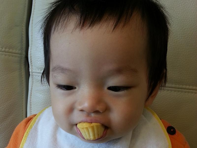 ��������㡿����ƻ�����������