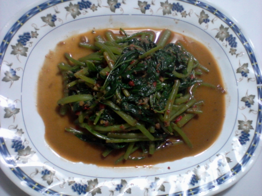 Ϻ�����ͷ���Ҷ������