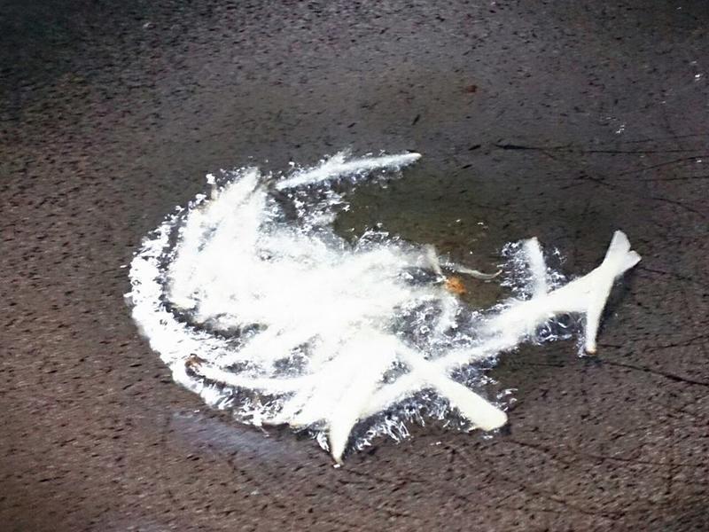 ������Ƭ���׼�������