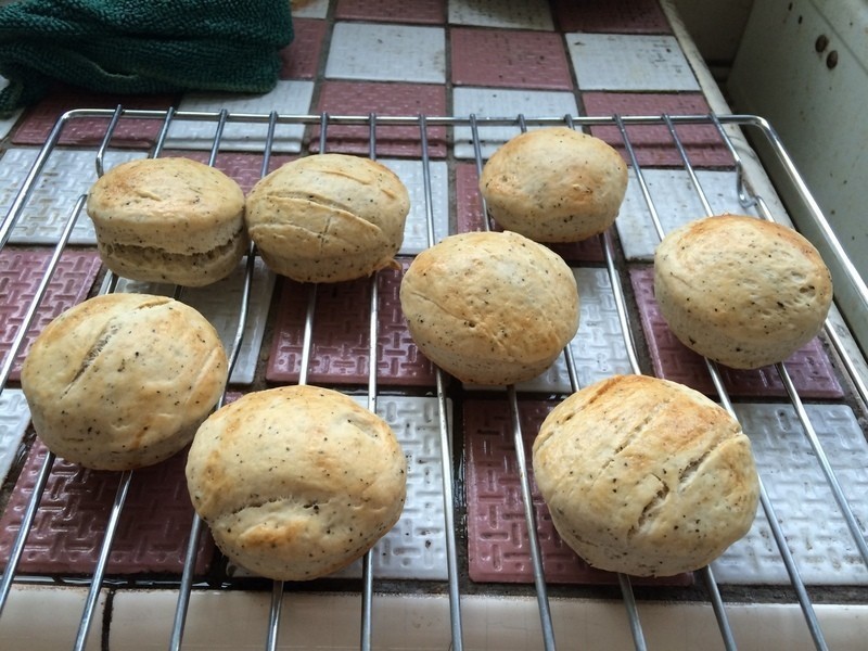 ���˾�����ֹ�����������