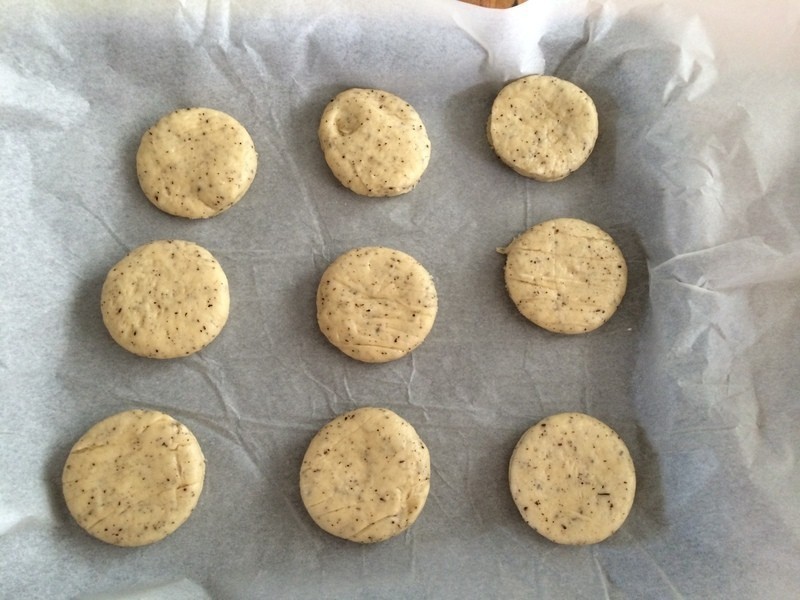 ���˾�����ֹ�����������