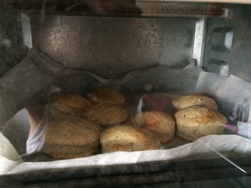 ���˾�����ֹ�����������