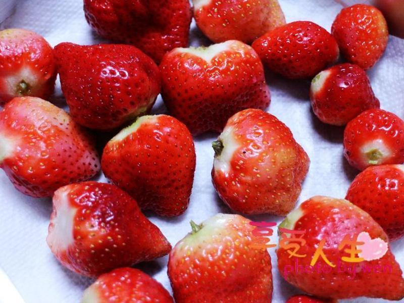 ���������ֹ������Ĳ�ݮ������EASY������