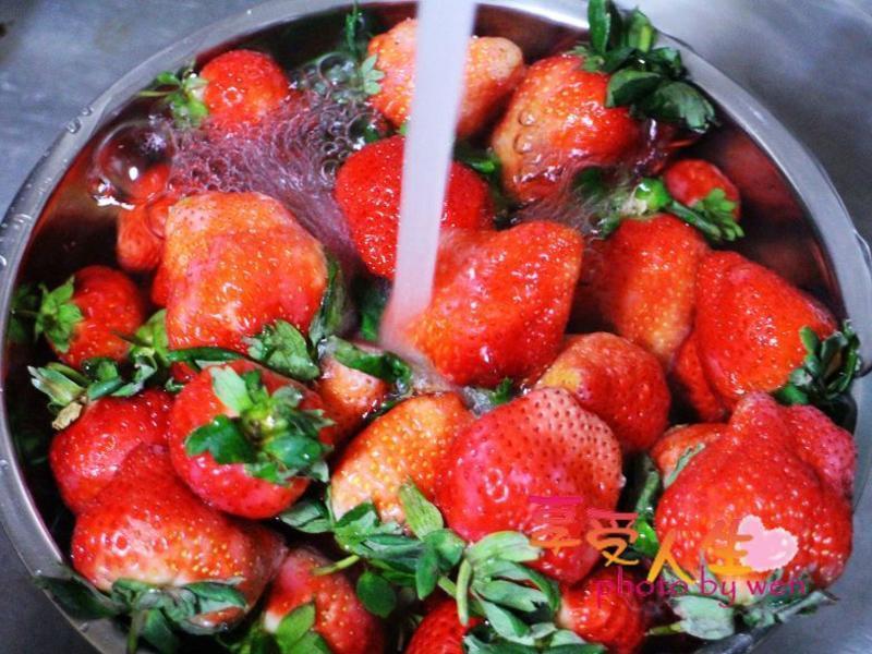 ���������ֹ������Ĳ�ݮ������EASY������