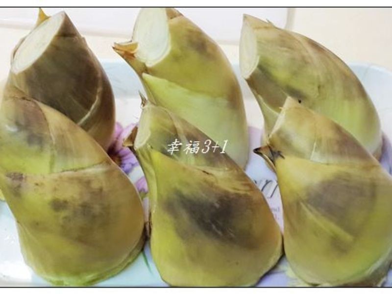 �������񡾵��������������