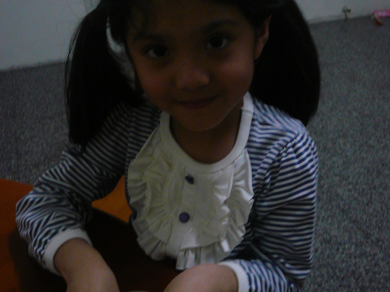 ��ݮ��������ݮ�Ͱ�ӥ�����̵�����