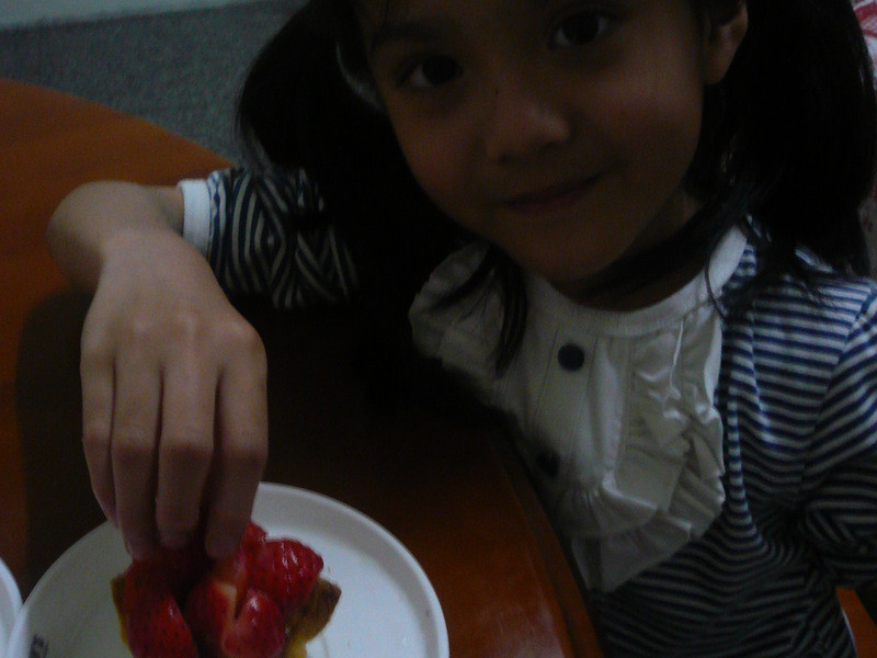 ��ݮ��������ݮ�Ͱ�ӥ�����̵�����