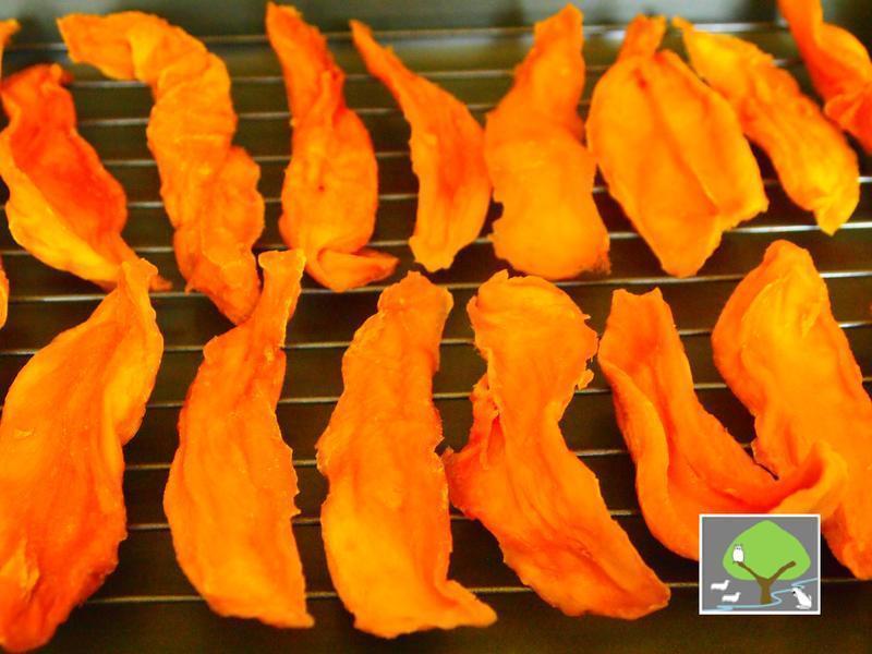 ��Ȼâ���ɳ�¯��!������