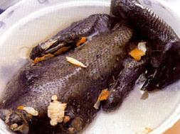 �������ڼ���������