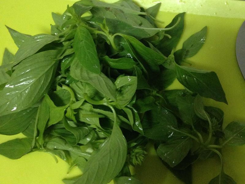 �Ų�������������