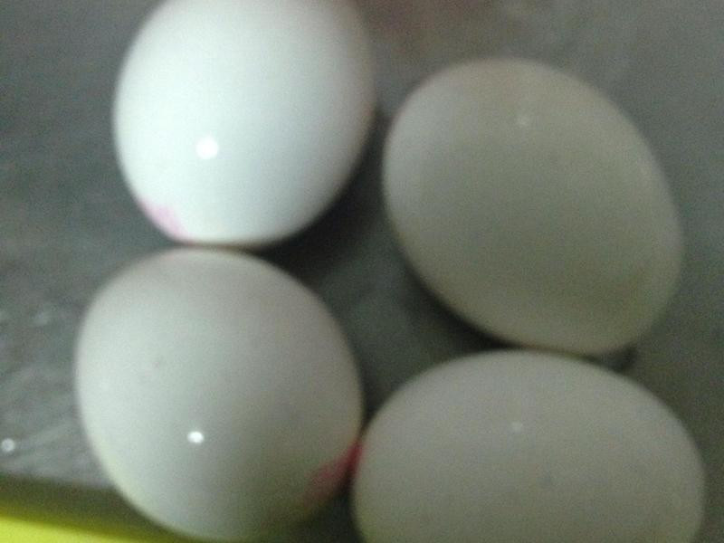 �Ų�������������