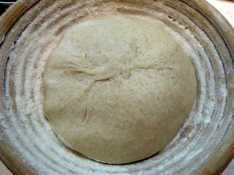 ������������