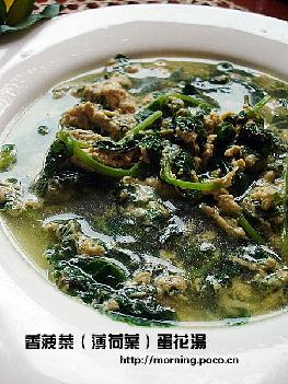 �㲤��(����Ҷ)������������