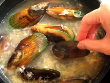 ���װ׾�����ڵ�����