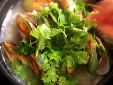 ���װ׾�����ڵ�����