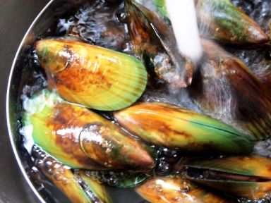 ���װ׾�����ڵ�����