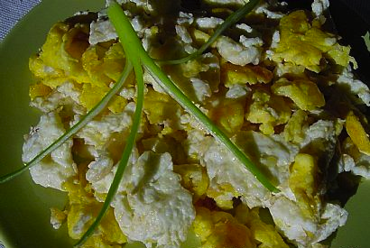 ���з������