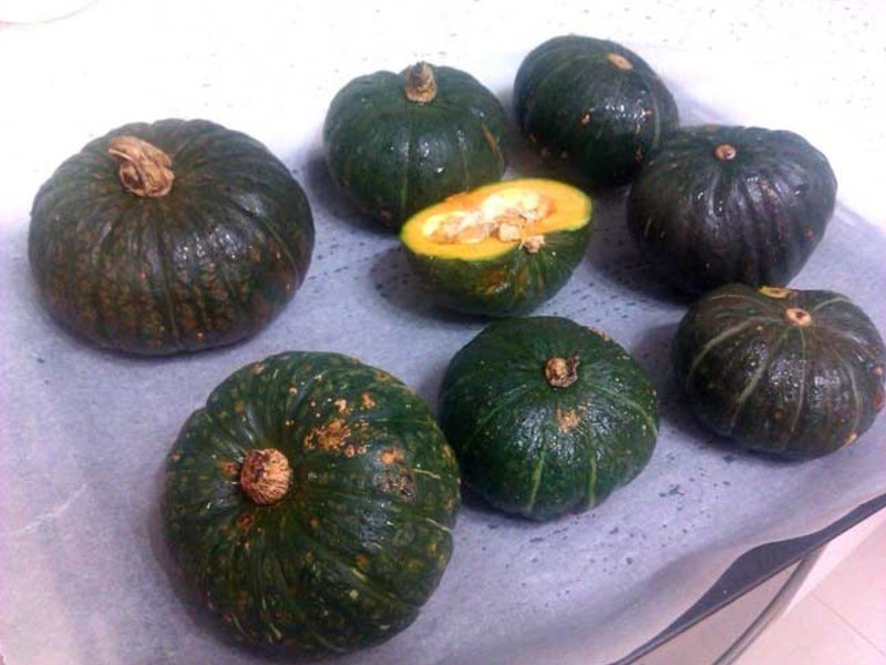 Kitchen Wisdom-���˳���һ�ŵ� - �Ϲ���˾�ɵ�����