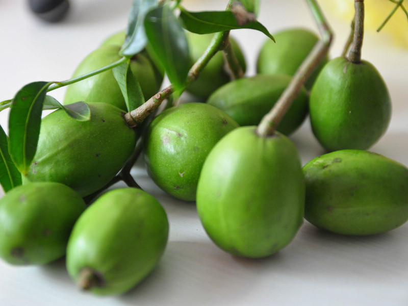 ÷���Z��魵�����