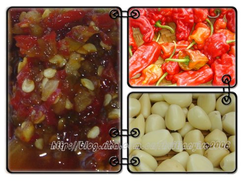 糟辣子的做法的做法