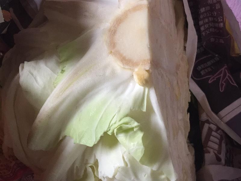 �Ϲϸ����˷�������