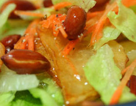 ��ʽ����ɳ��������