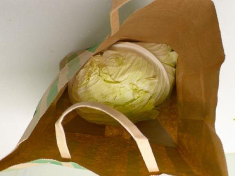 ������ݳ������� �������������10������