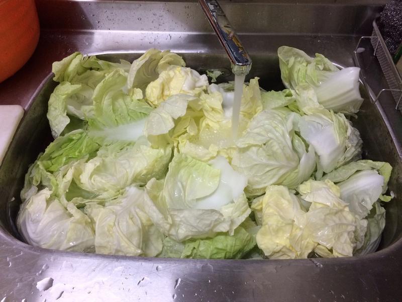 ������ײ˵�����