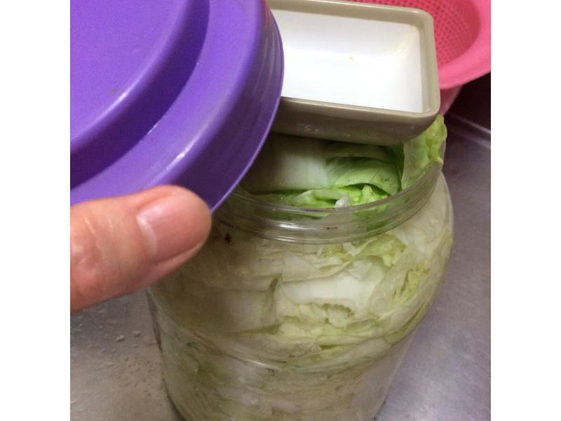 ������ײ˵�����