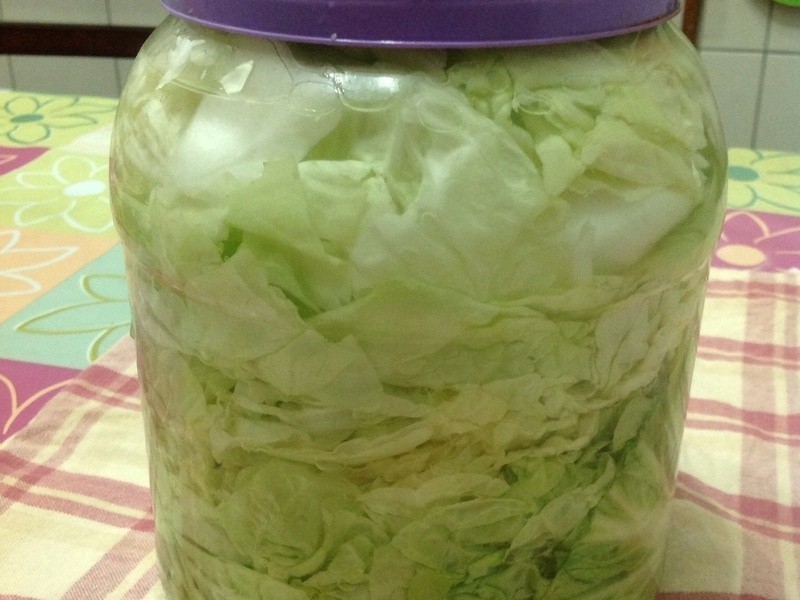 ������ײ˵�����