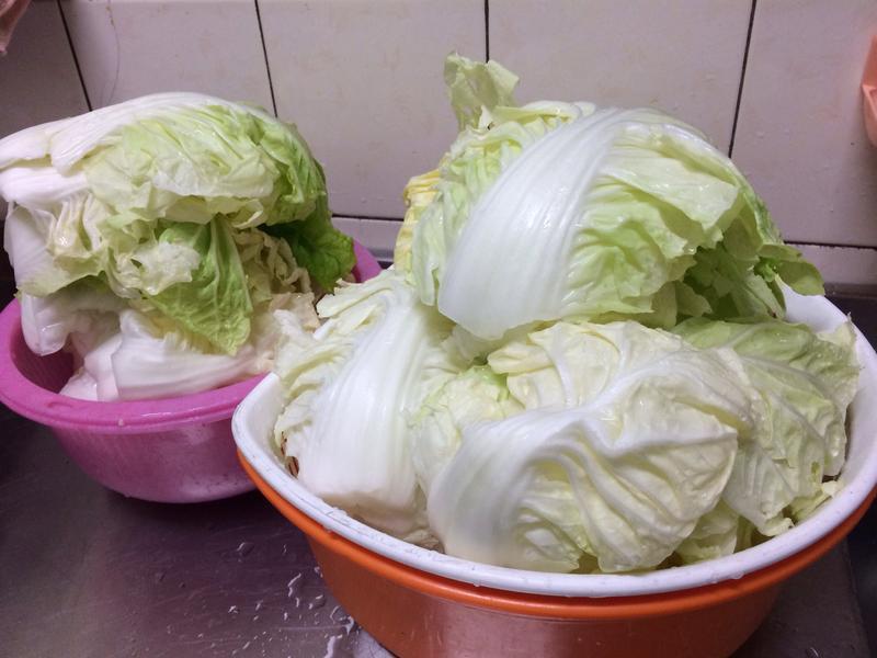 ������ײ˵�����