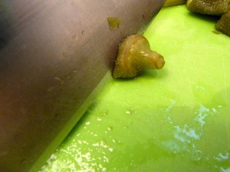 �����ɳ��������