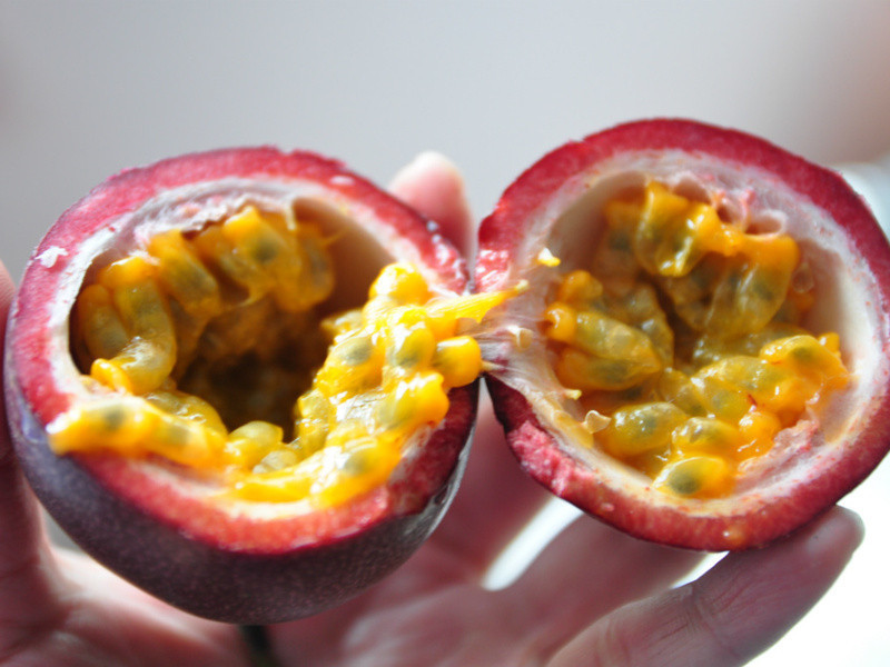 �ٹ���Ϻɳ��������