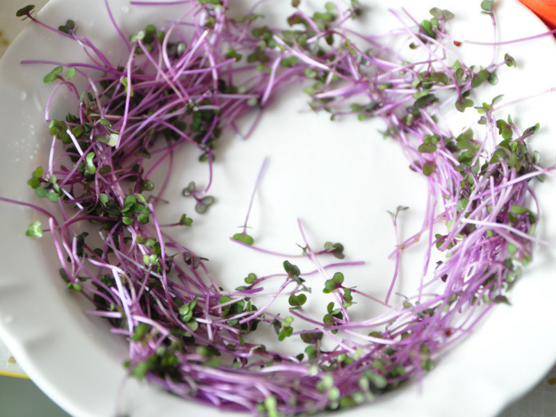 �ٹ���Ϻɳ��������