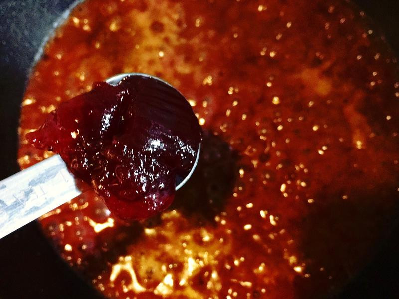 ���Ѽ������Խݮ��֭������