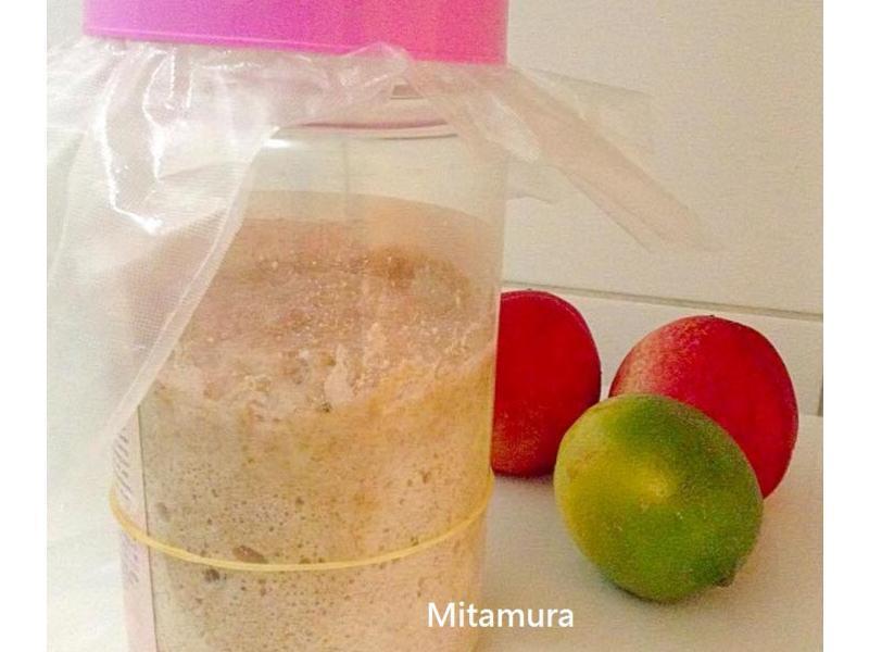 ���ҽ�ĸ��Ԫ����������������