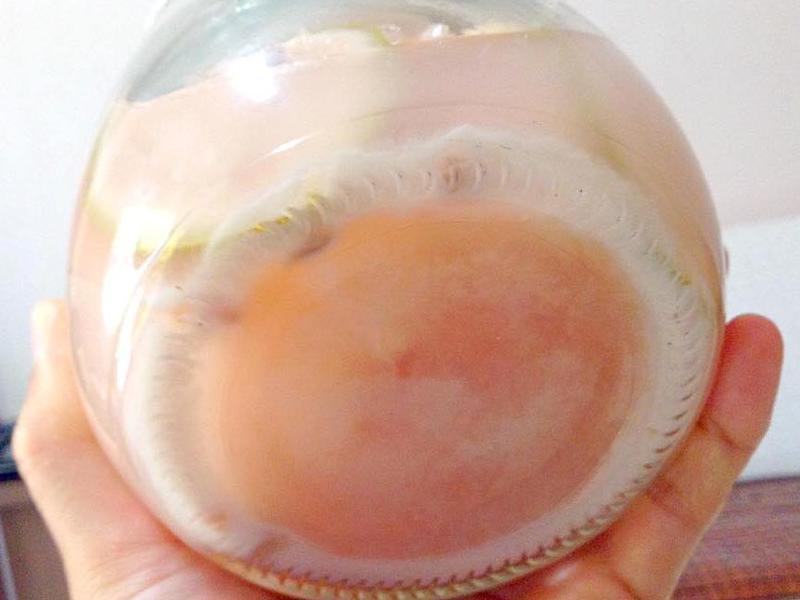 ���ҽ�ĸ��Ԫ����������������