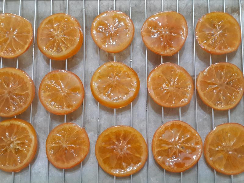 ����ɿ���������