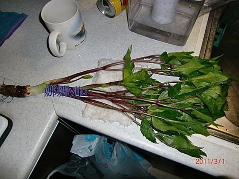 (��)����Ҷ�����Ź���������