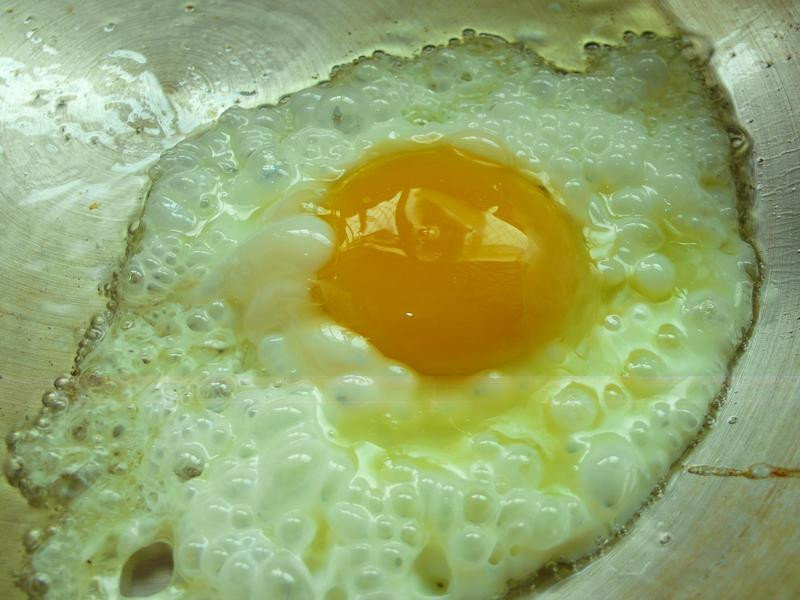 ެ���㳦������������