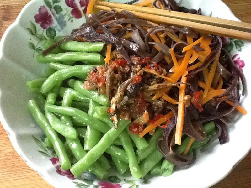 XO�������ļ���������