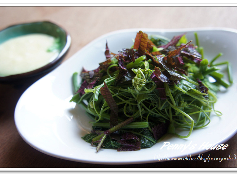 ���������ײ͵�����