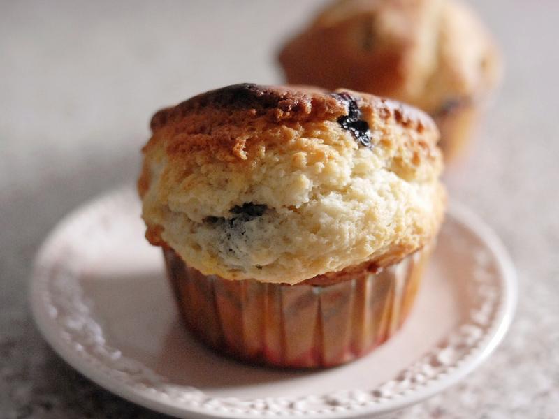 ��������ݮ���� [��������]������