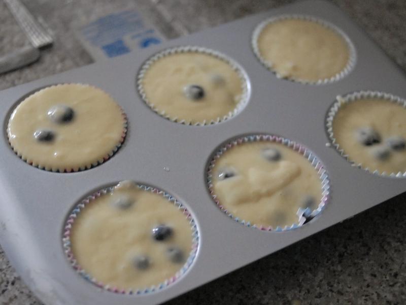 ��������ݮ���� [��������]������